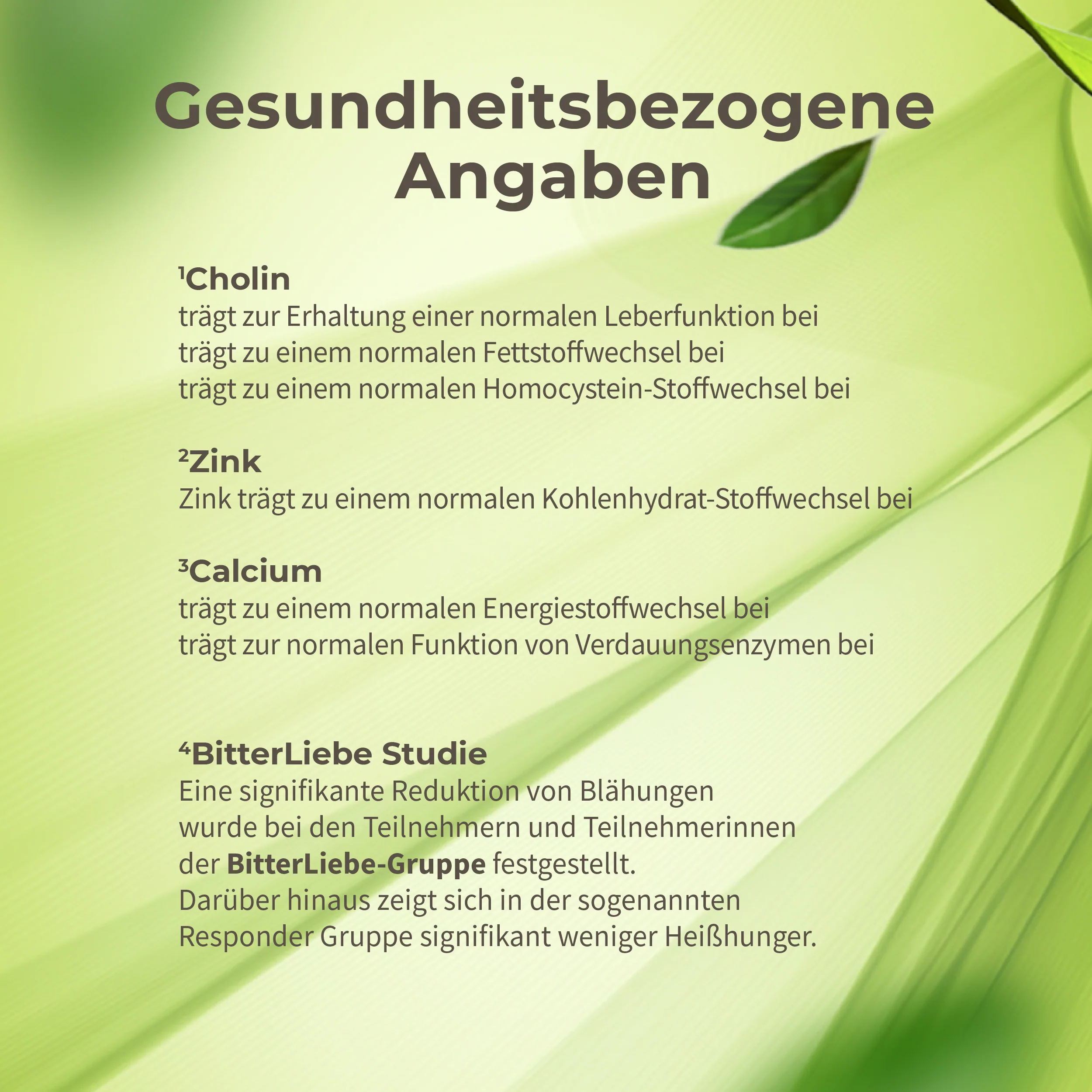 Vorschaubild 12