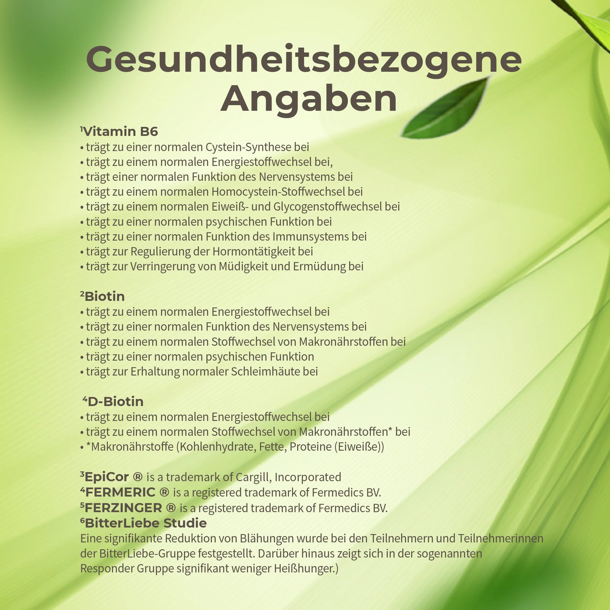 Vorschaubild 12