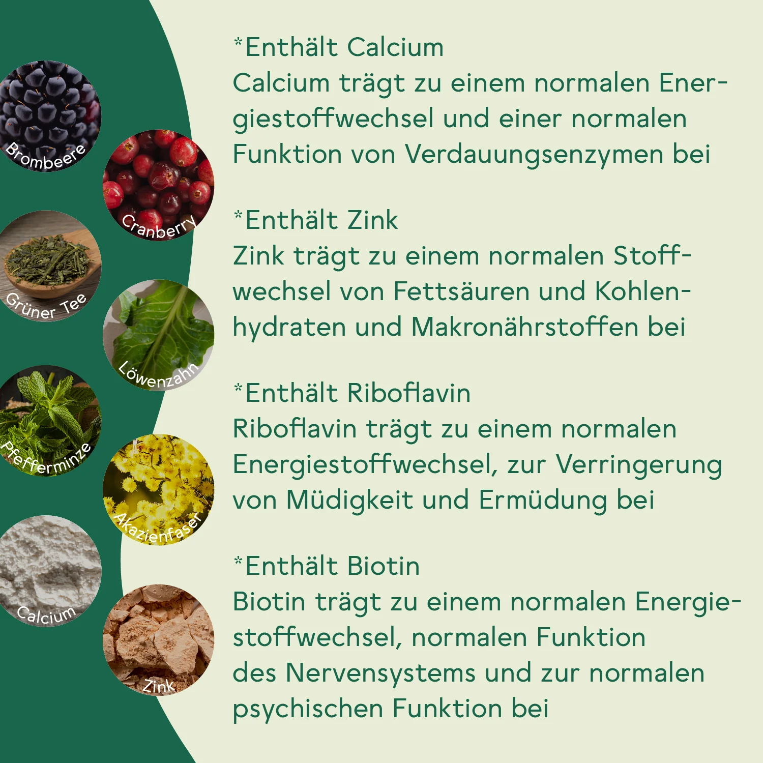 Vorschaubild 6