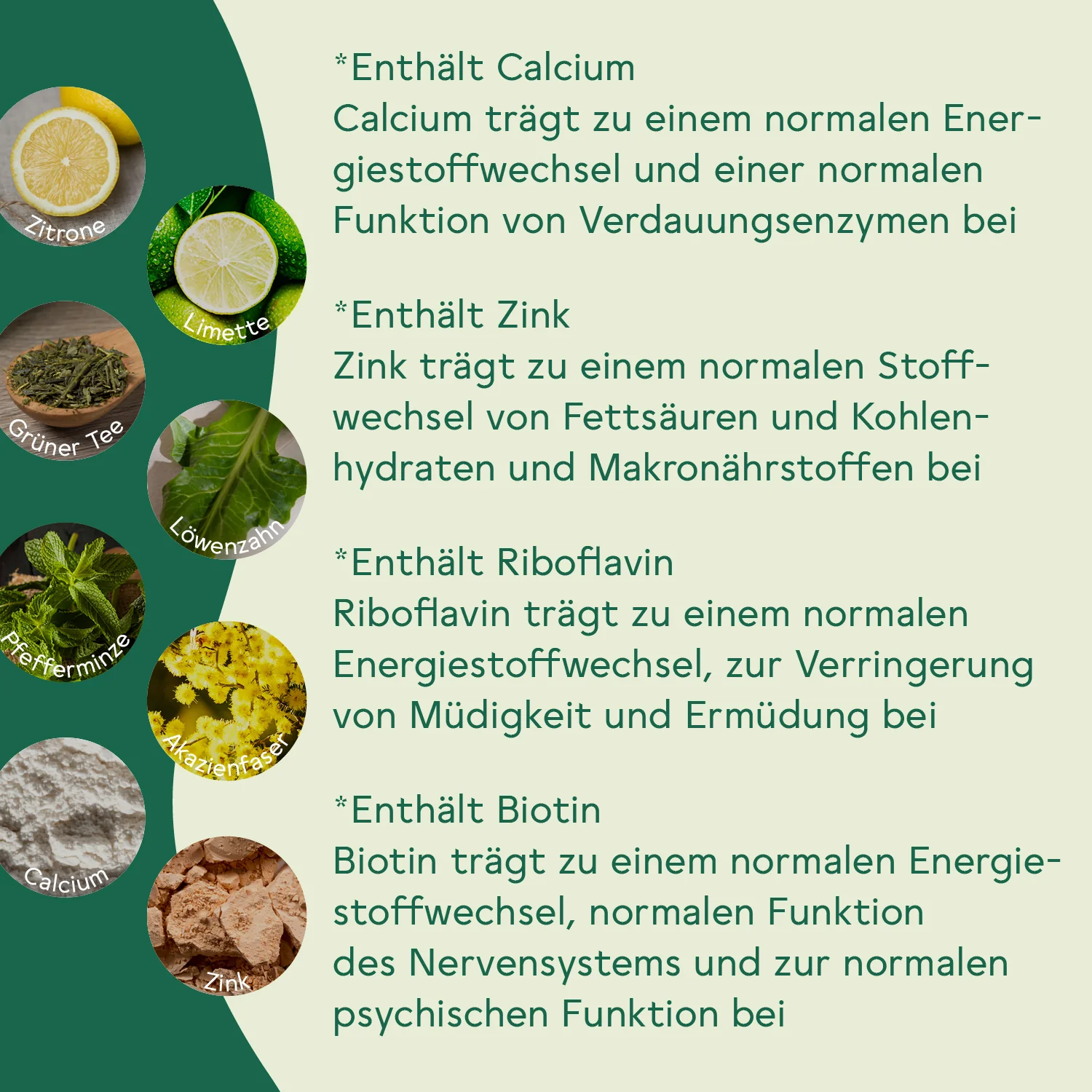 Vorschaubild 7