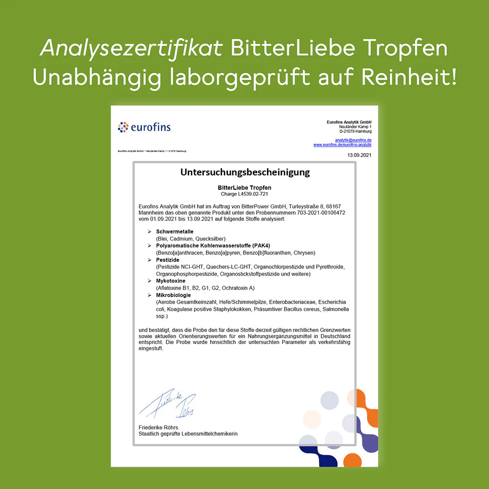 Vorschaubild 13