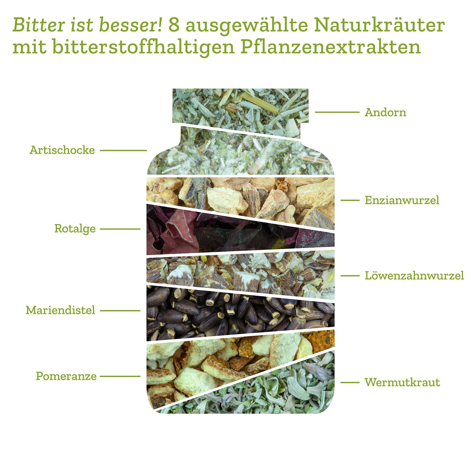 Vorschaubild 8