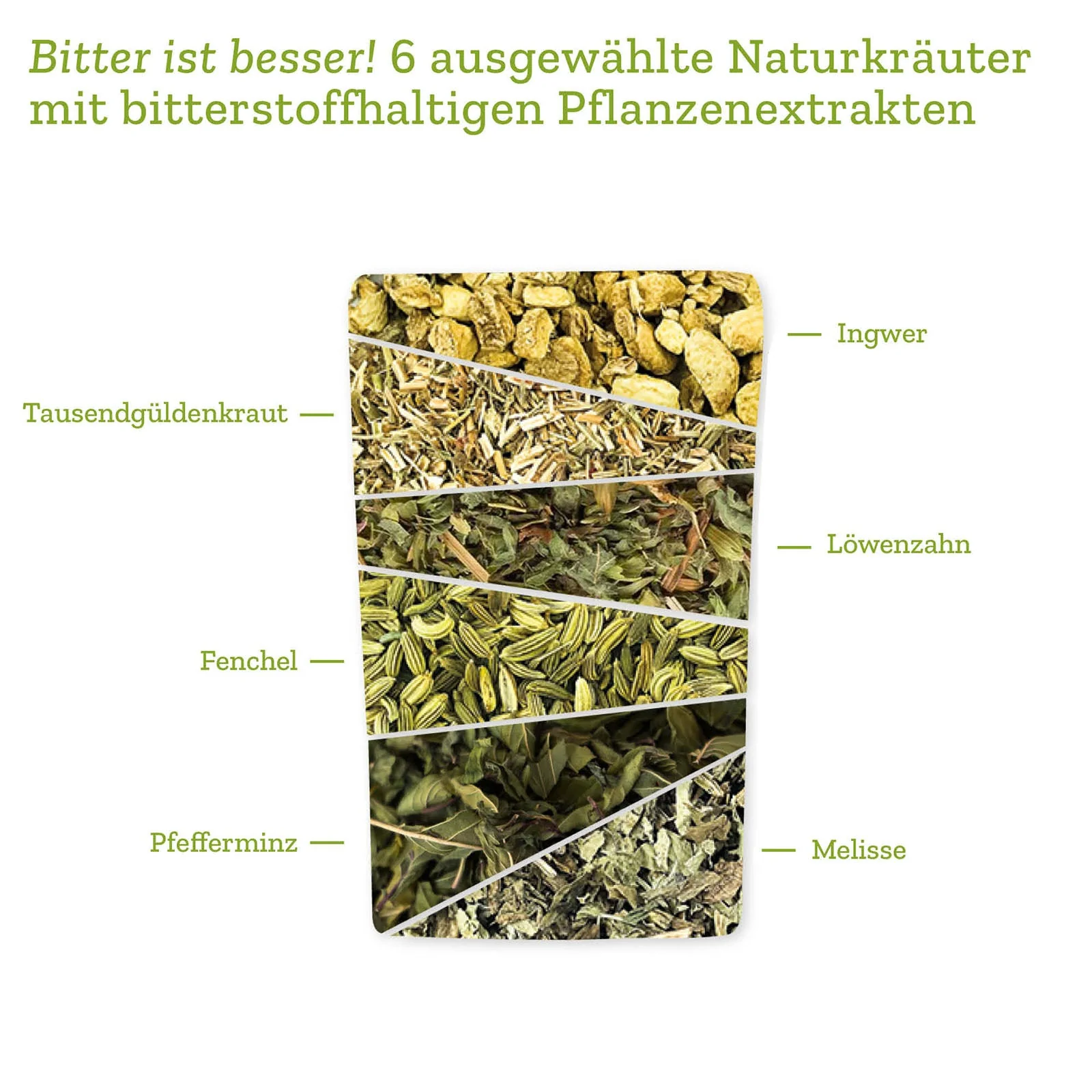 Vorschaubild 11
