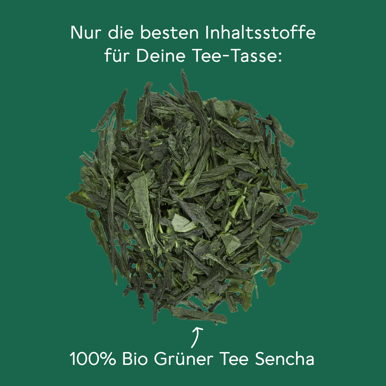 Vorschaubild 7