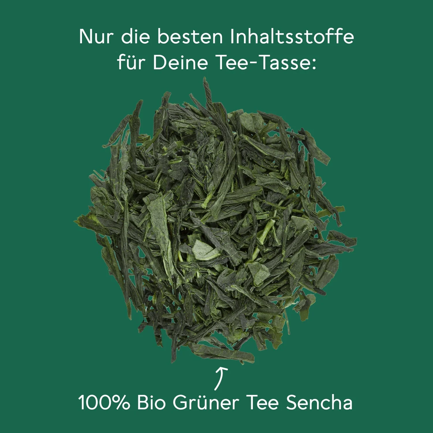 Vorschaubild 7