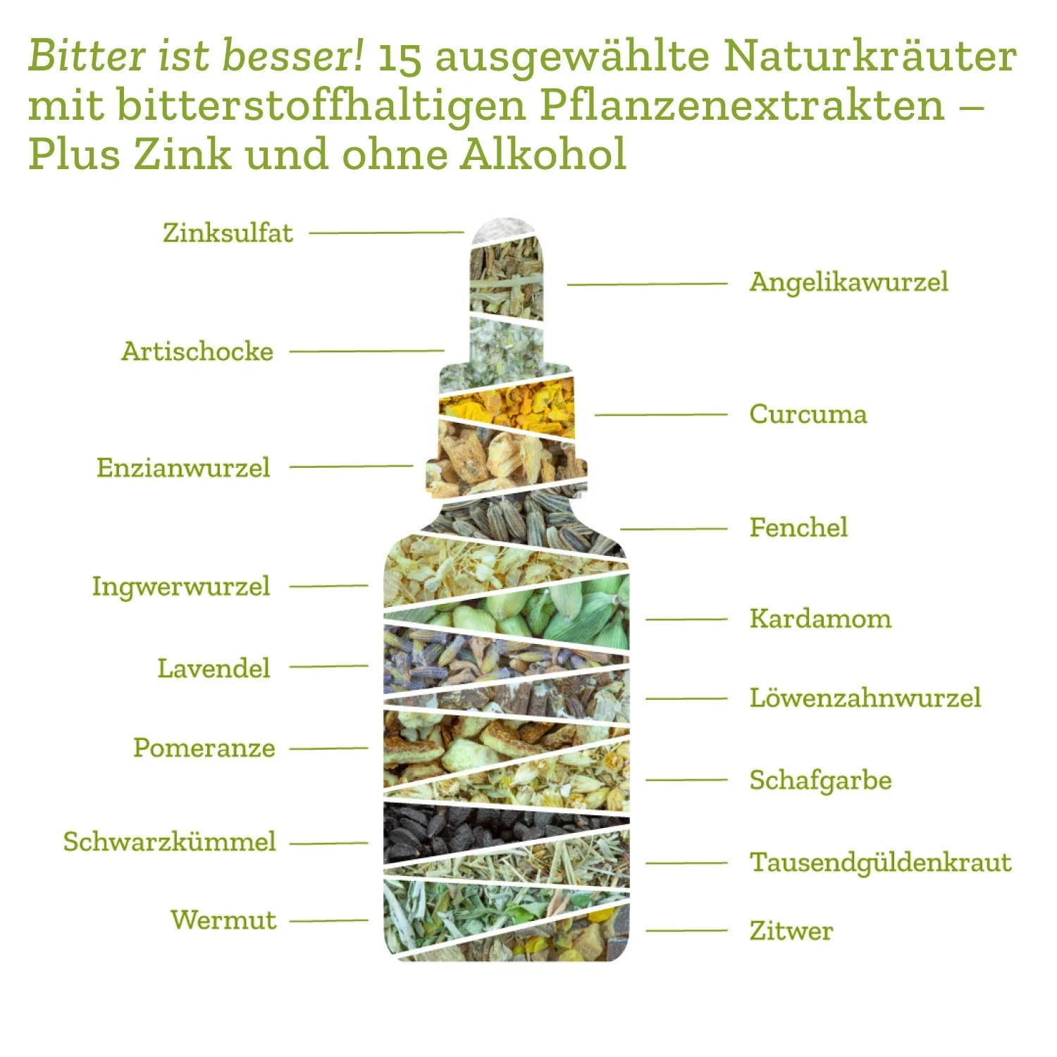 Vorschaubild 7