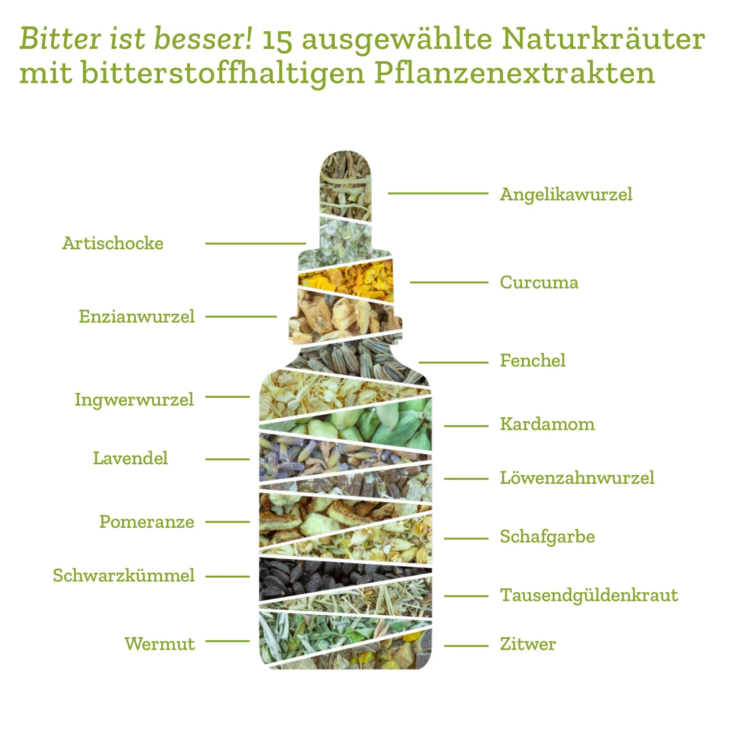 Vorschaubild 8