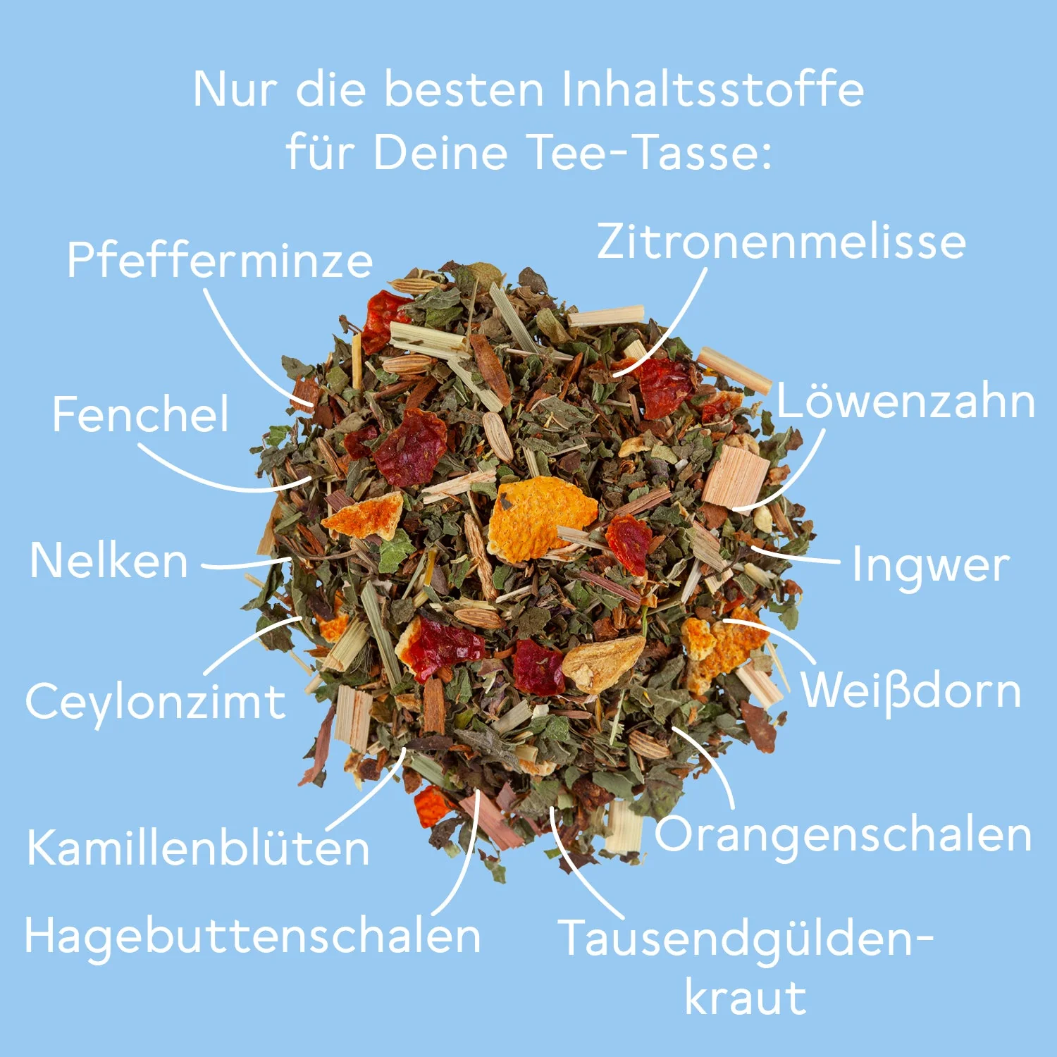 Vorschaubild 7