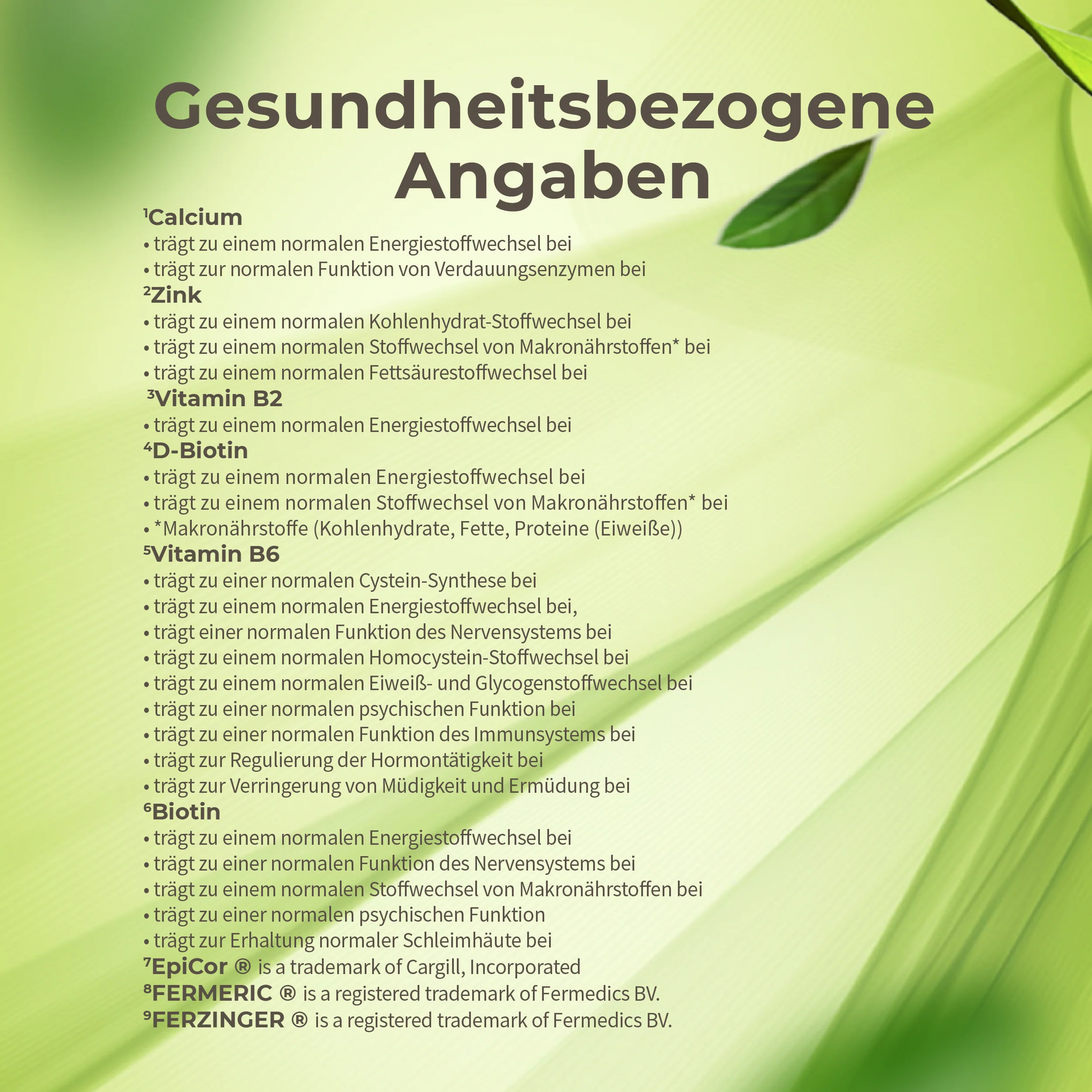Vorschaubild 11