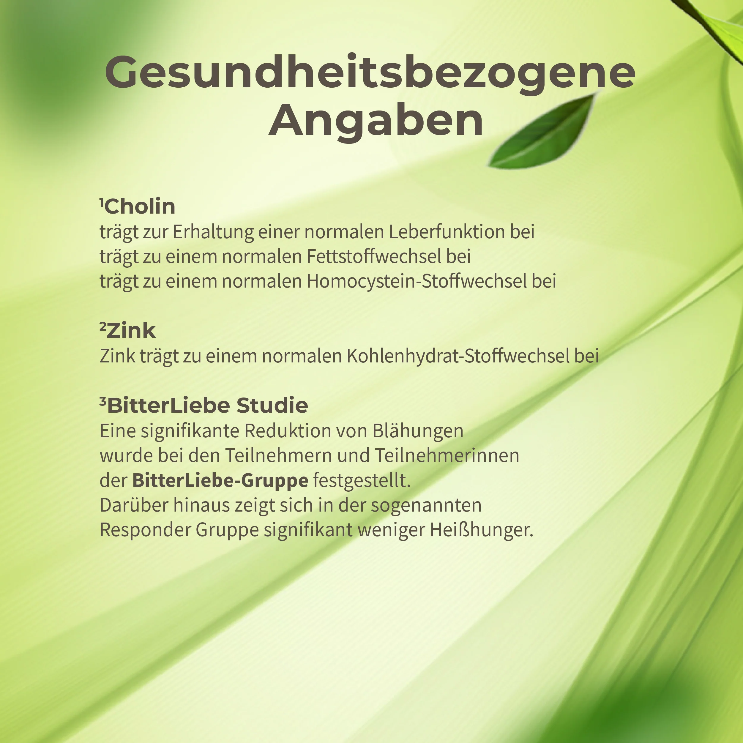 Vorschaubild 8
